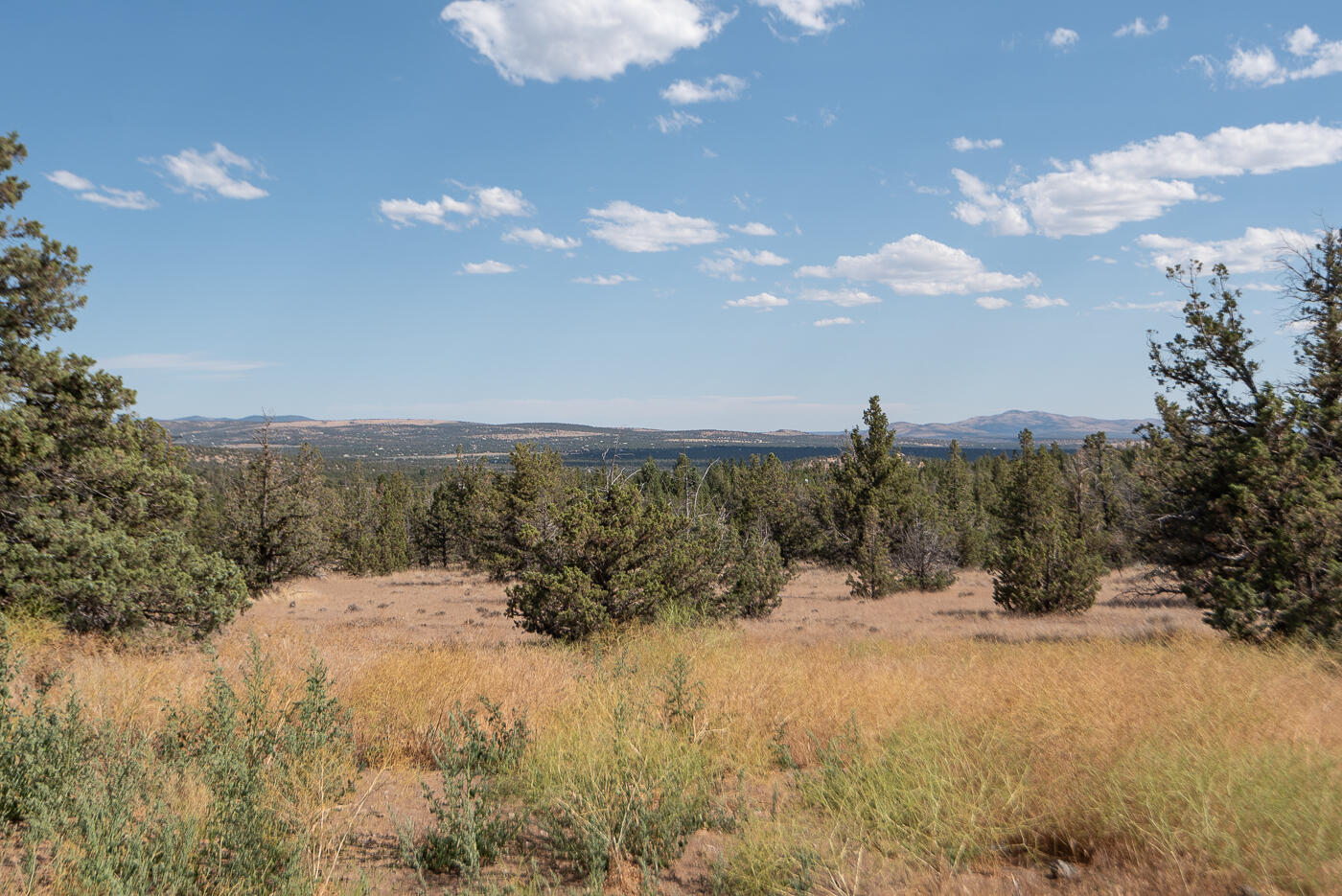 Longhorn Ridge - Residential