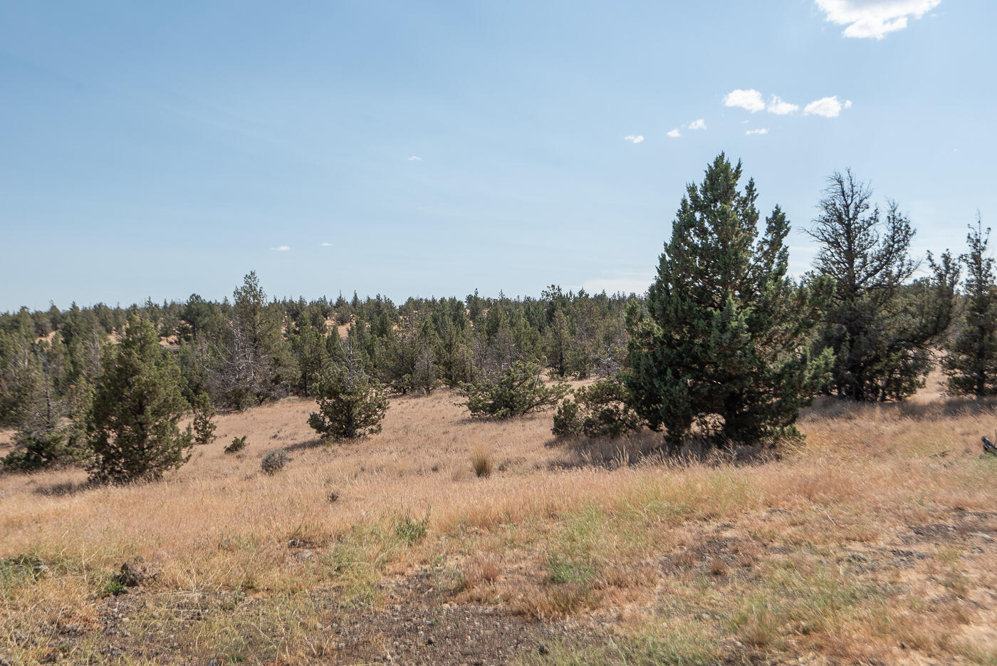 Longhorn Ridge - Residential