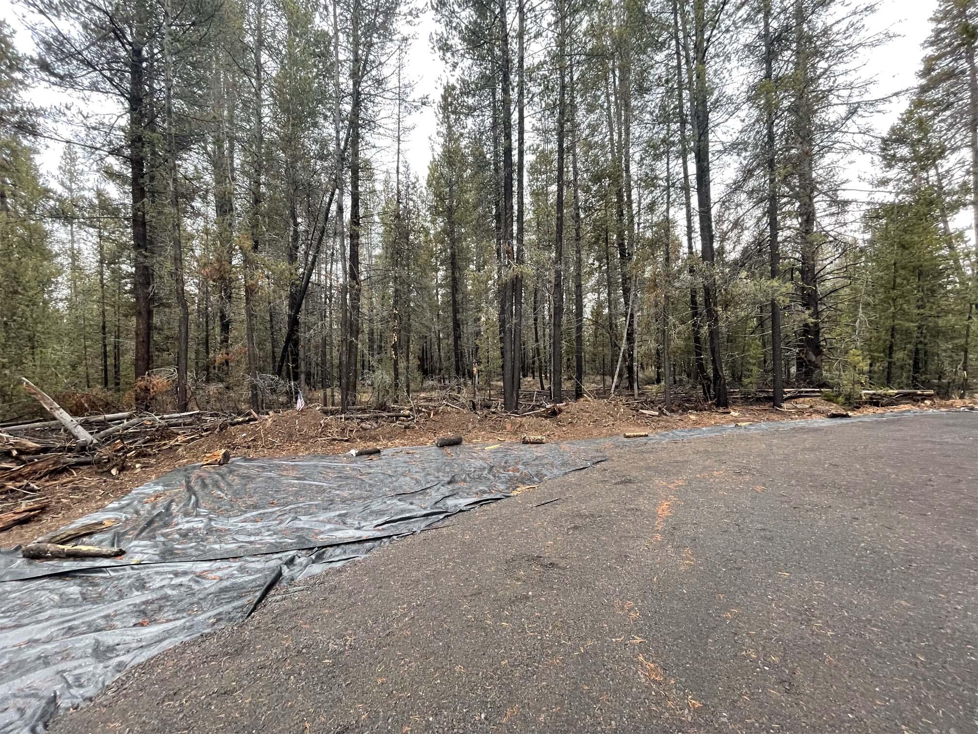 Mt. Scott Meadow - Land