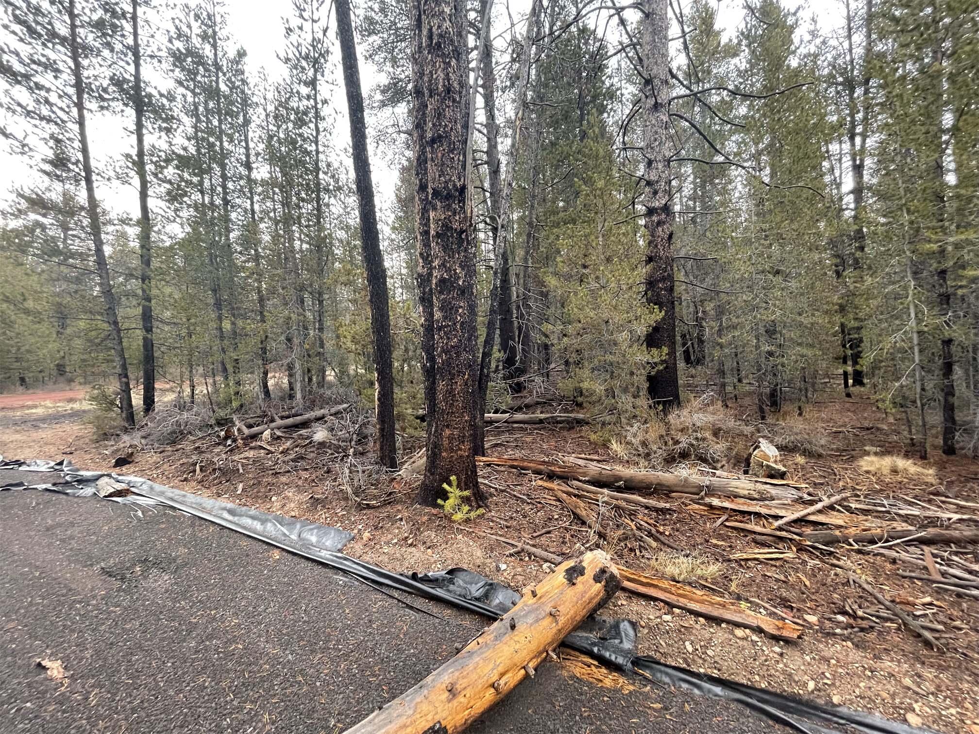 Mt. Scott Meadow - Land