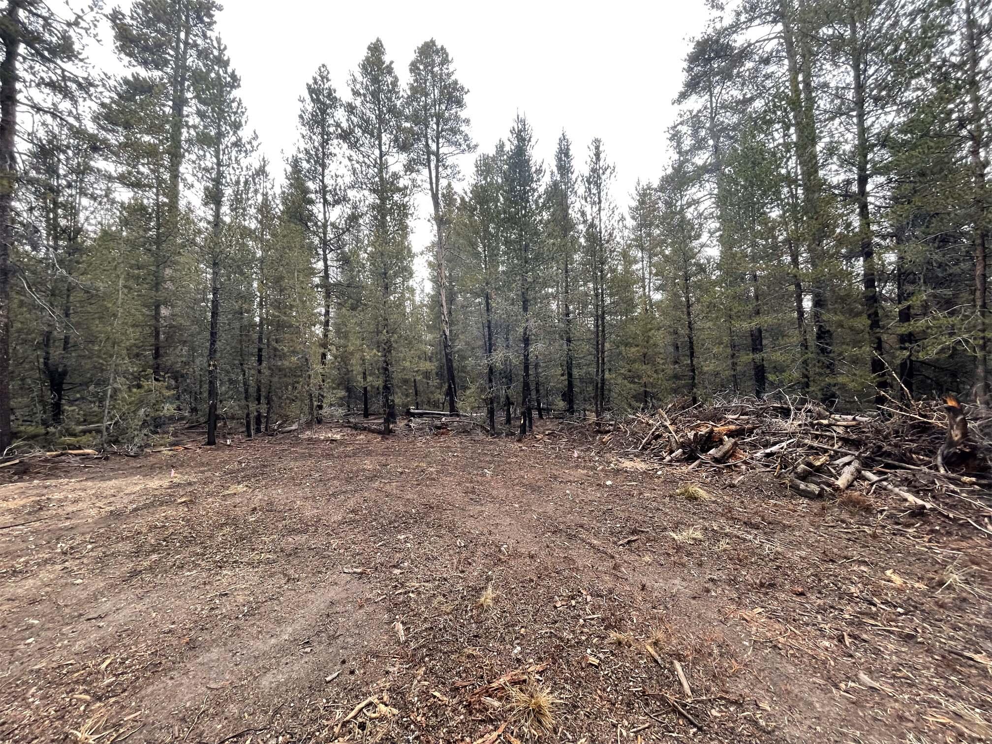 Mt. Scott Meadow - Land