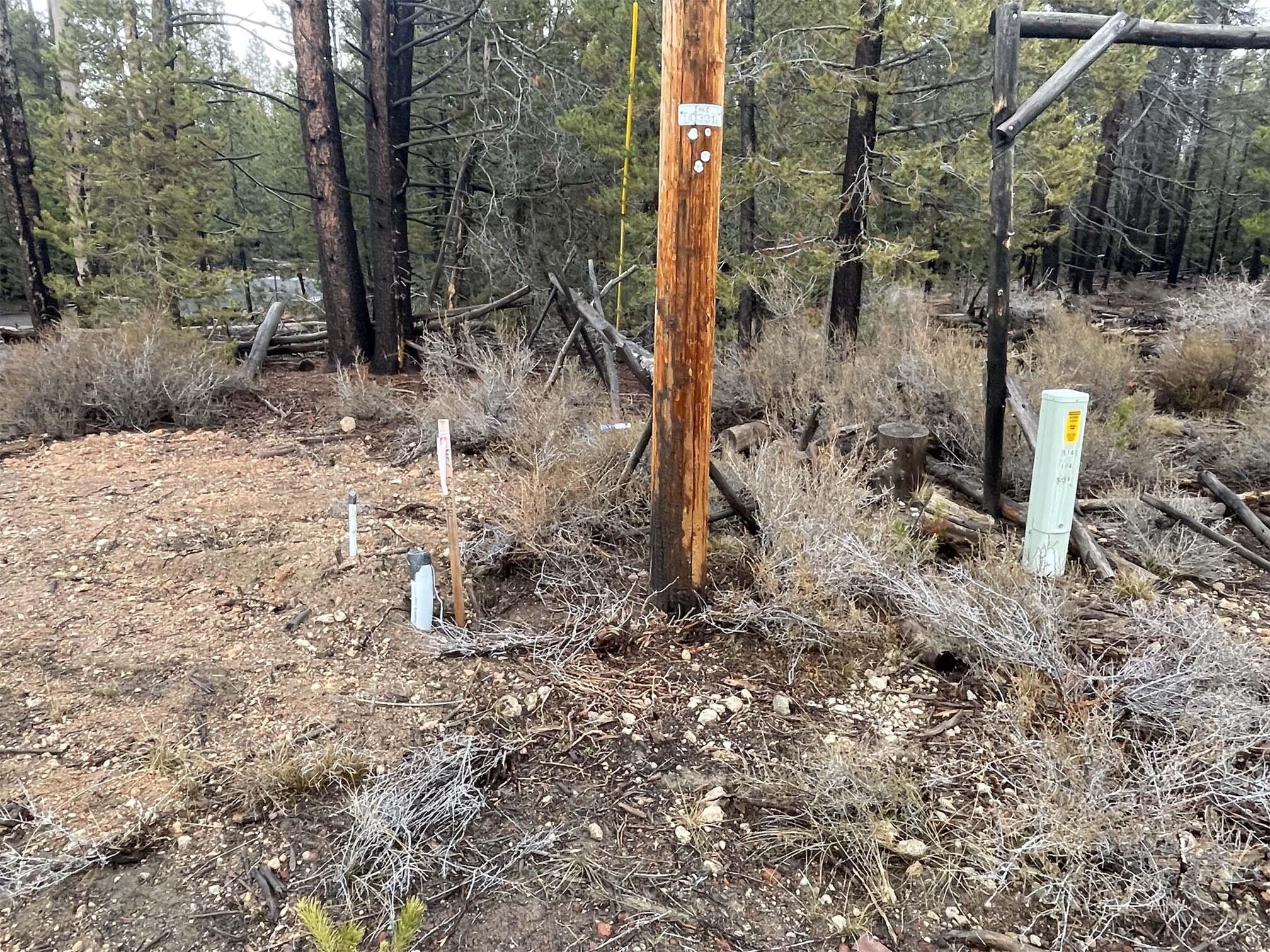 Mt. Scott Meadow - Land