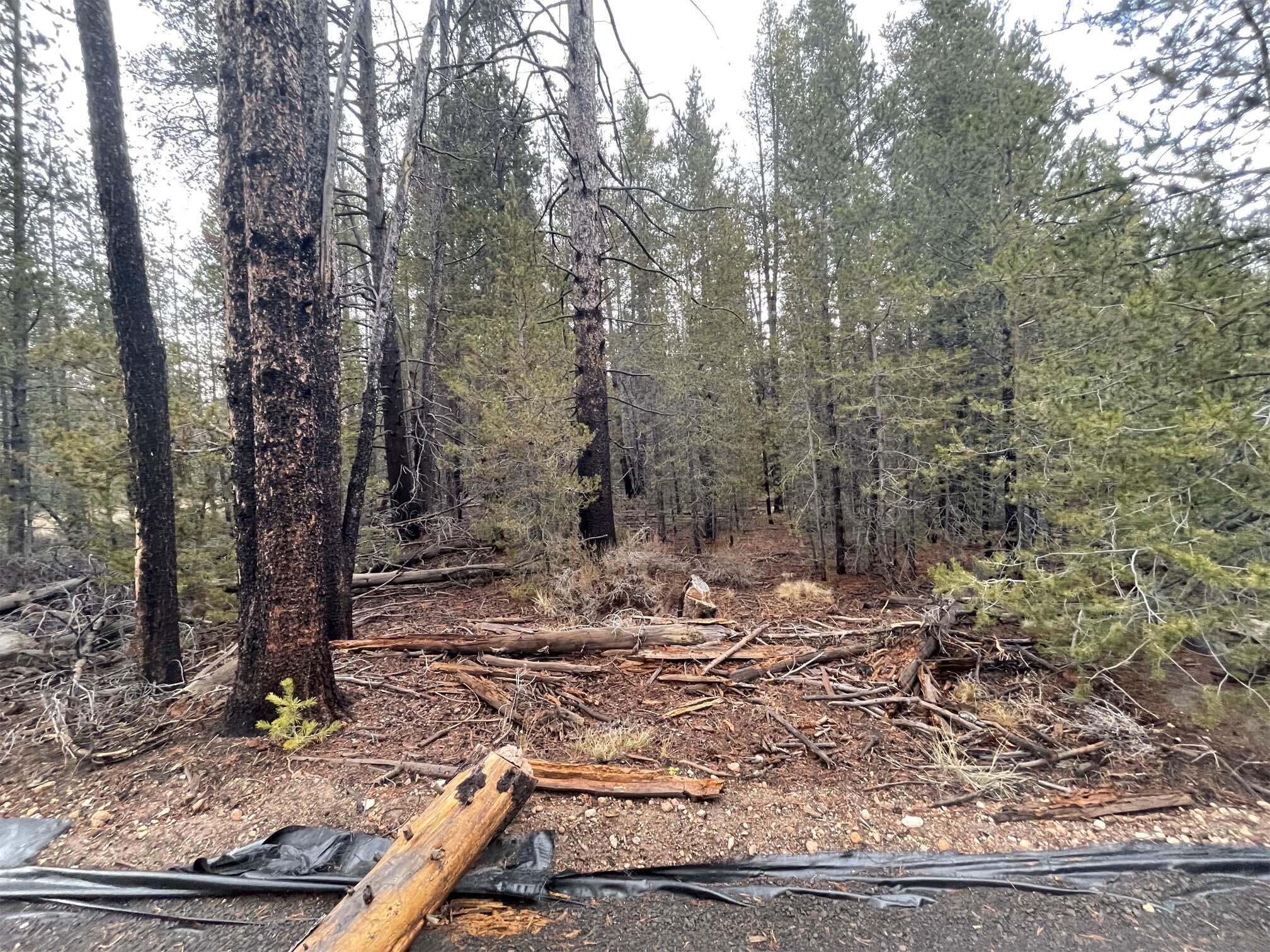 Mt. Scott Meadow - Land