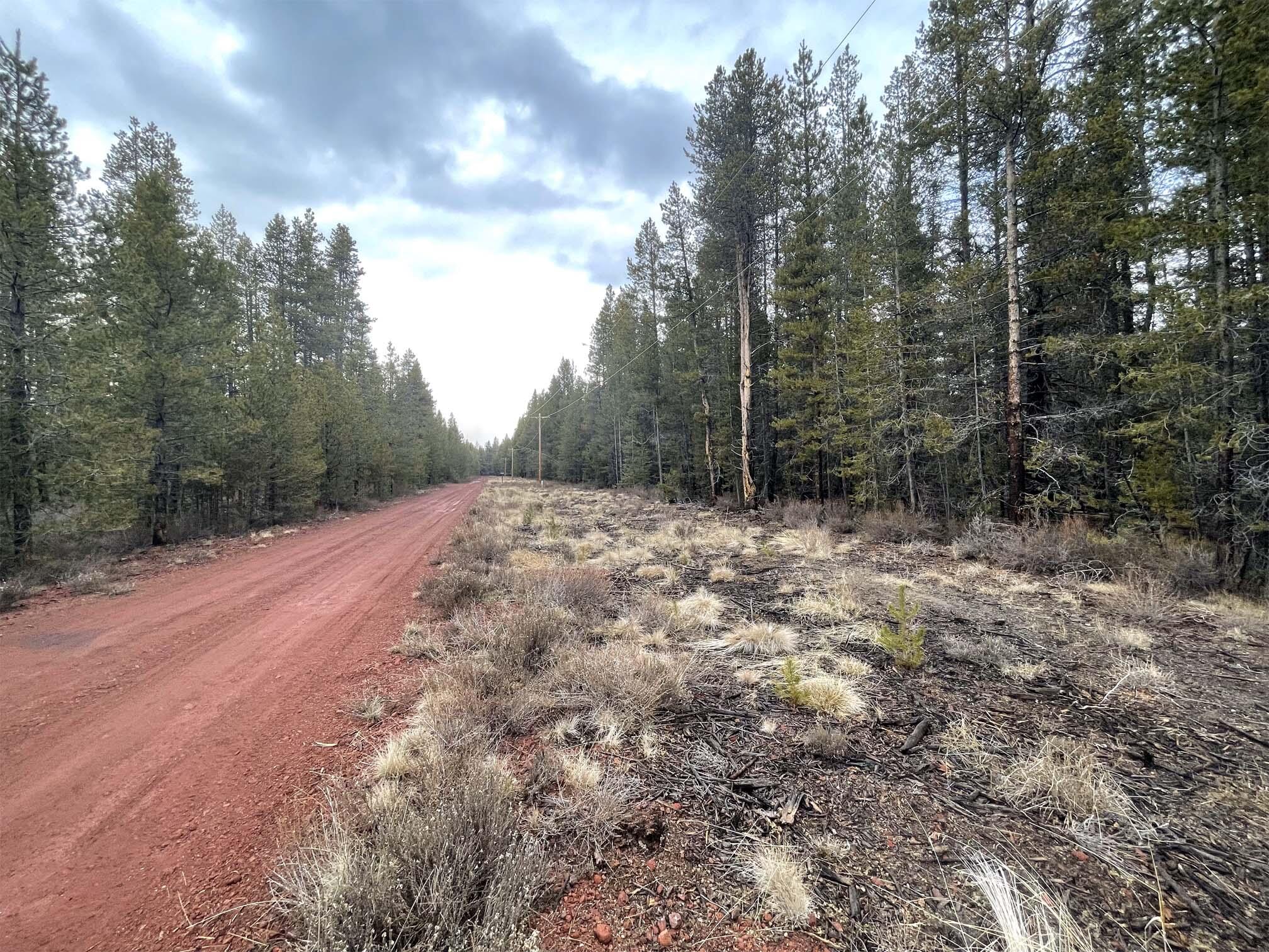 Mt. Scott Meadow - Land