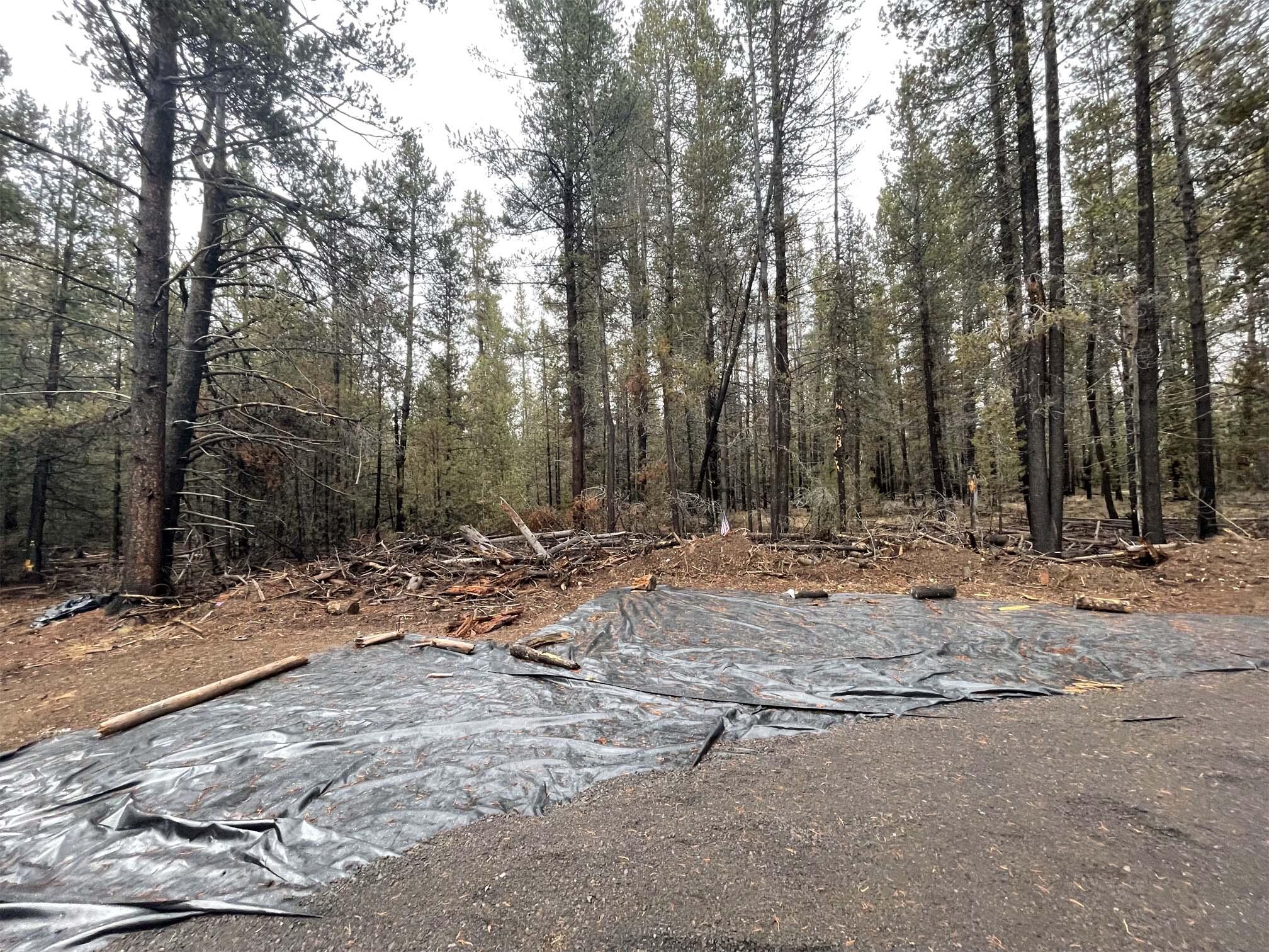 Mt. Scott Meadow - Land