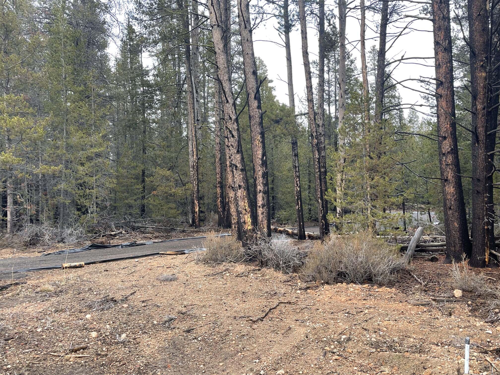 Mt. Scott Meadow - Land