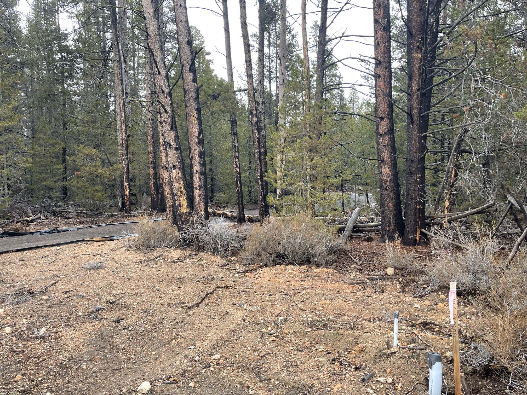 Mt. Scott Meadow - Land