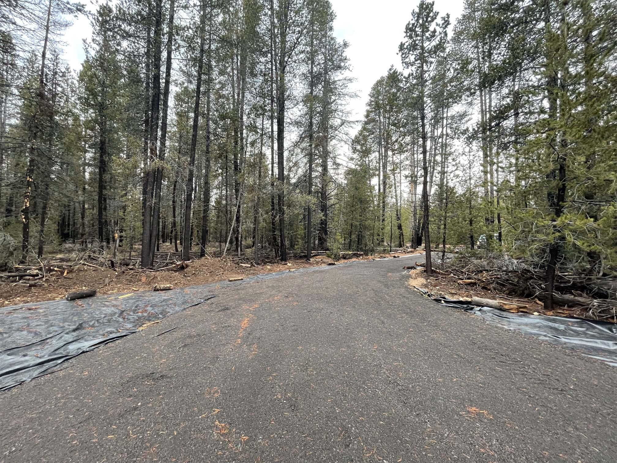 Mt. Scott Meadow - Land