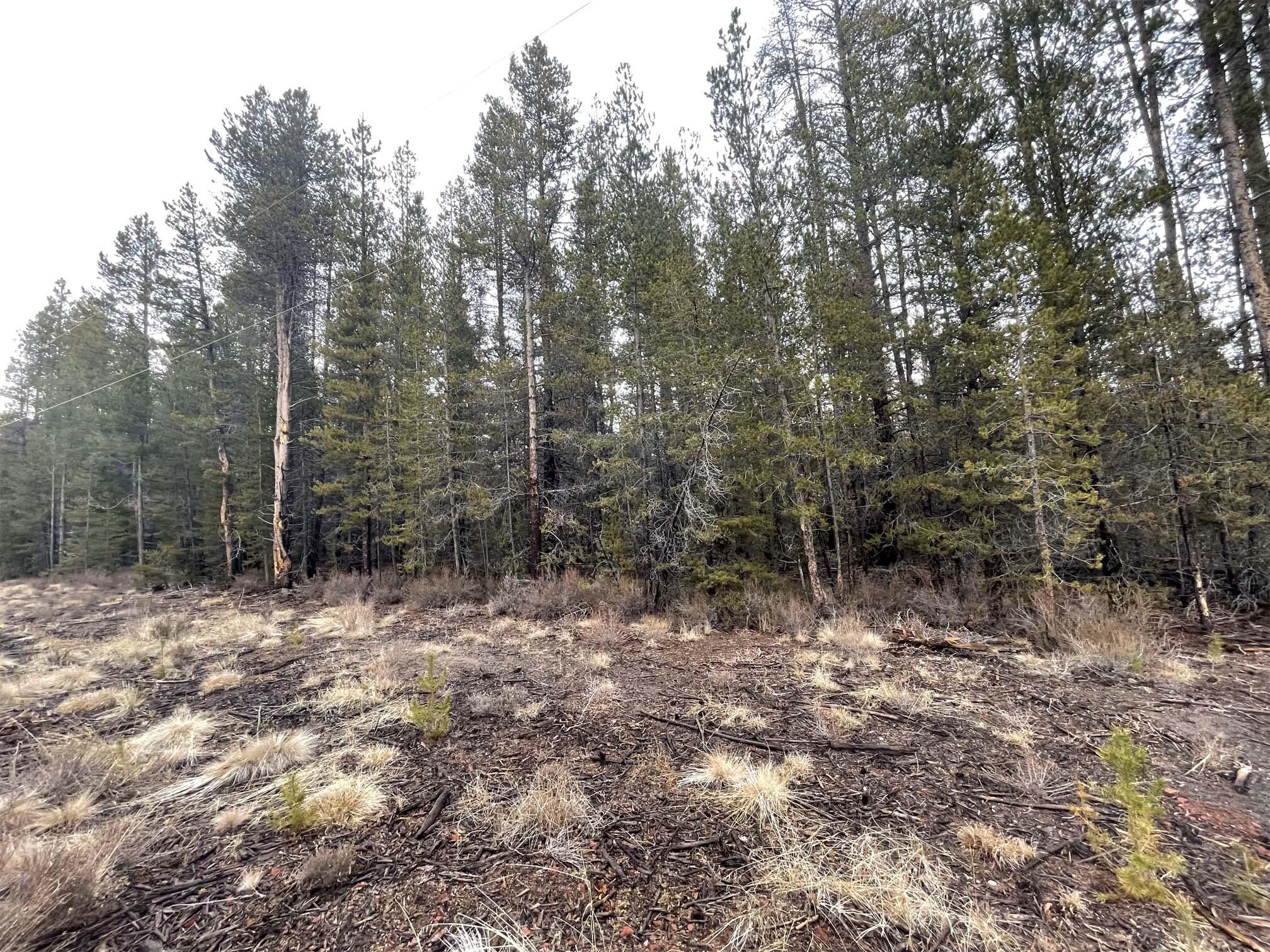 Mt. Scott Meadow - Land