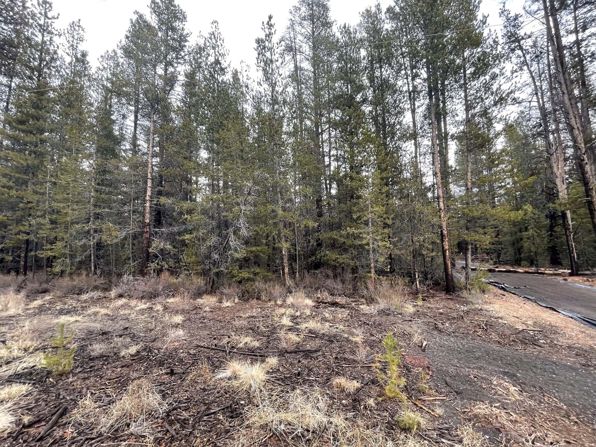 Mt. Scott Meadow - Land