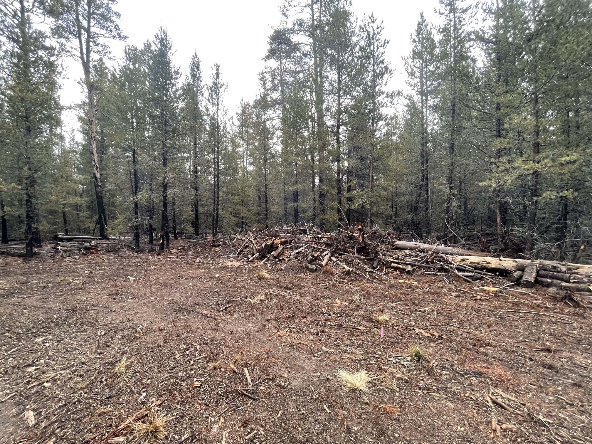 Mt. Scott Meadow - Land