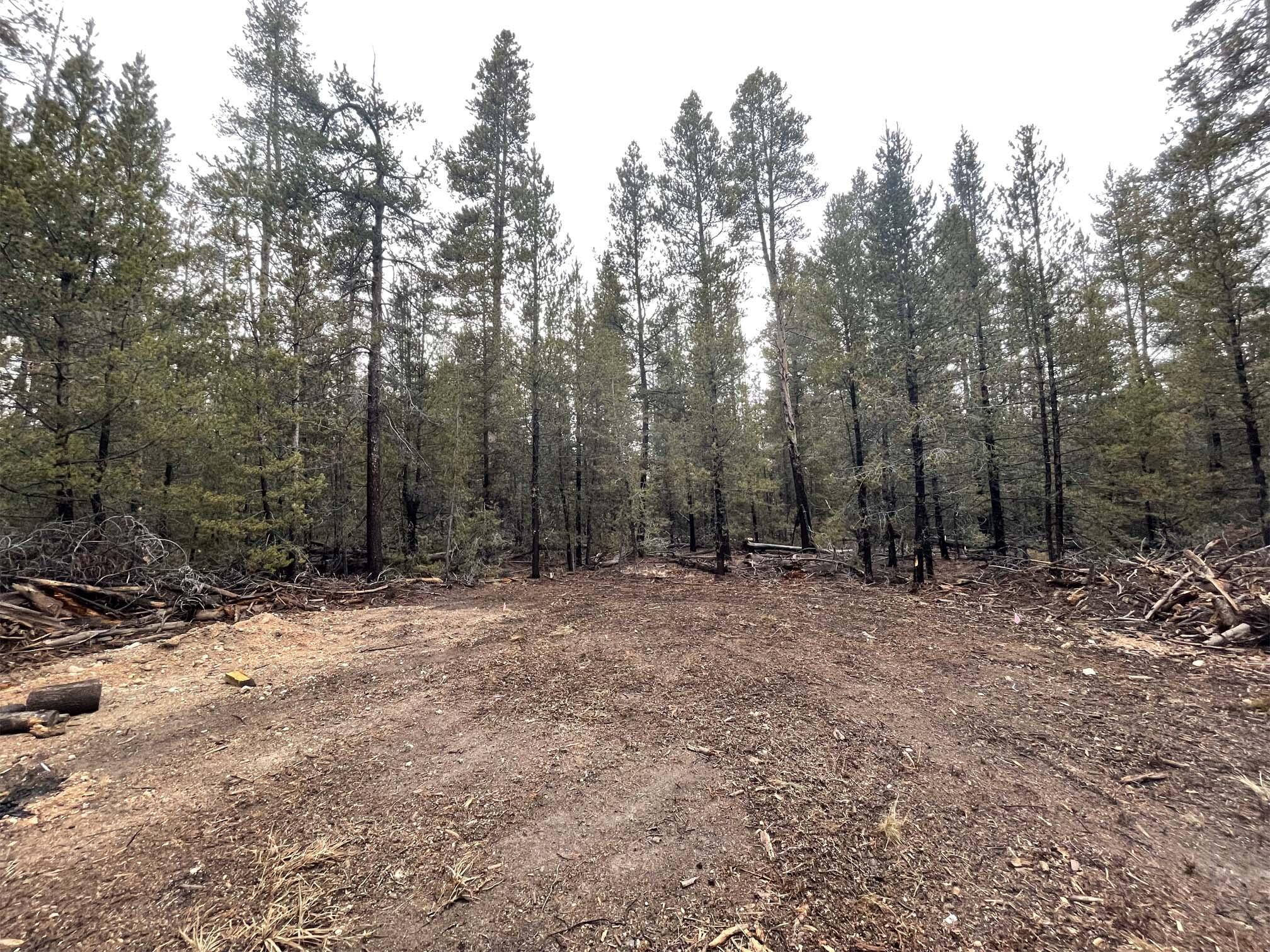 Mt. Scott Meadow - Land