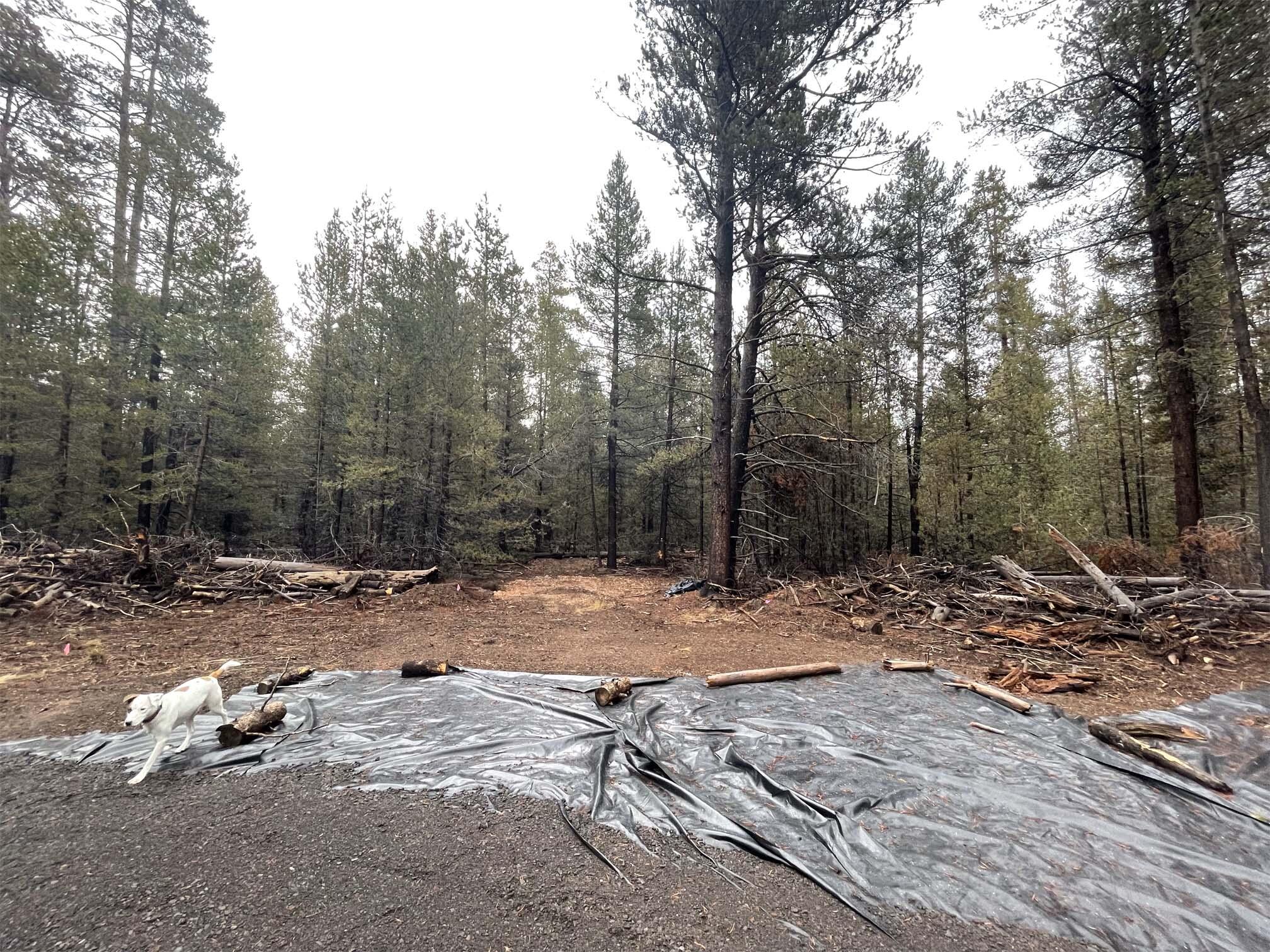 Mt. Scott Meadow - Land