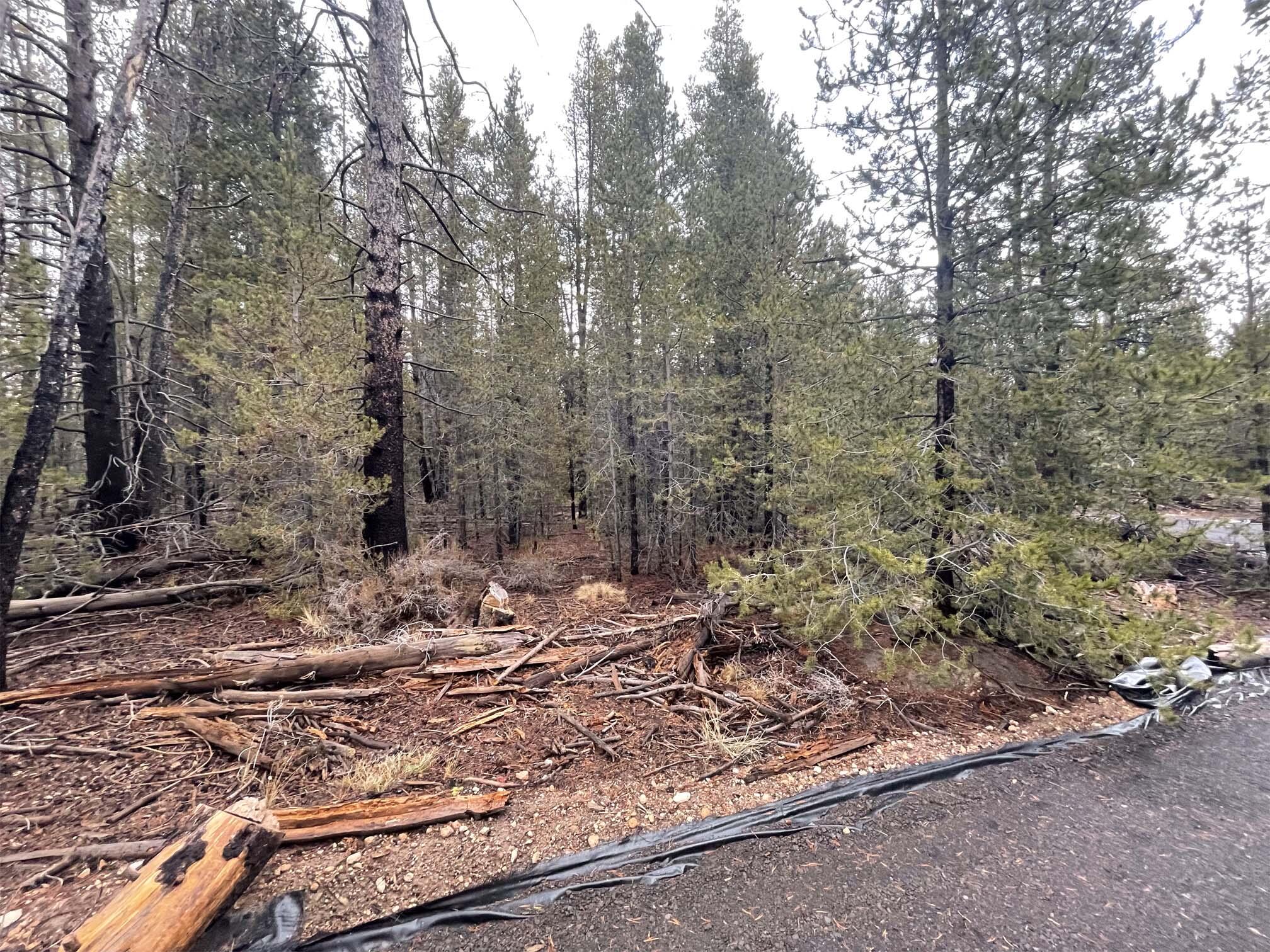 Mt. Scott Meadow - Land