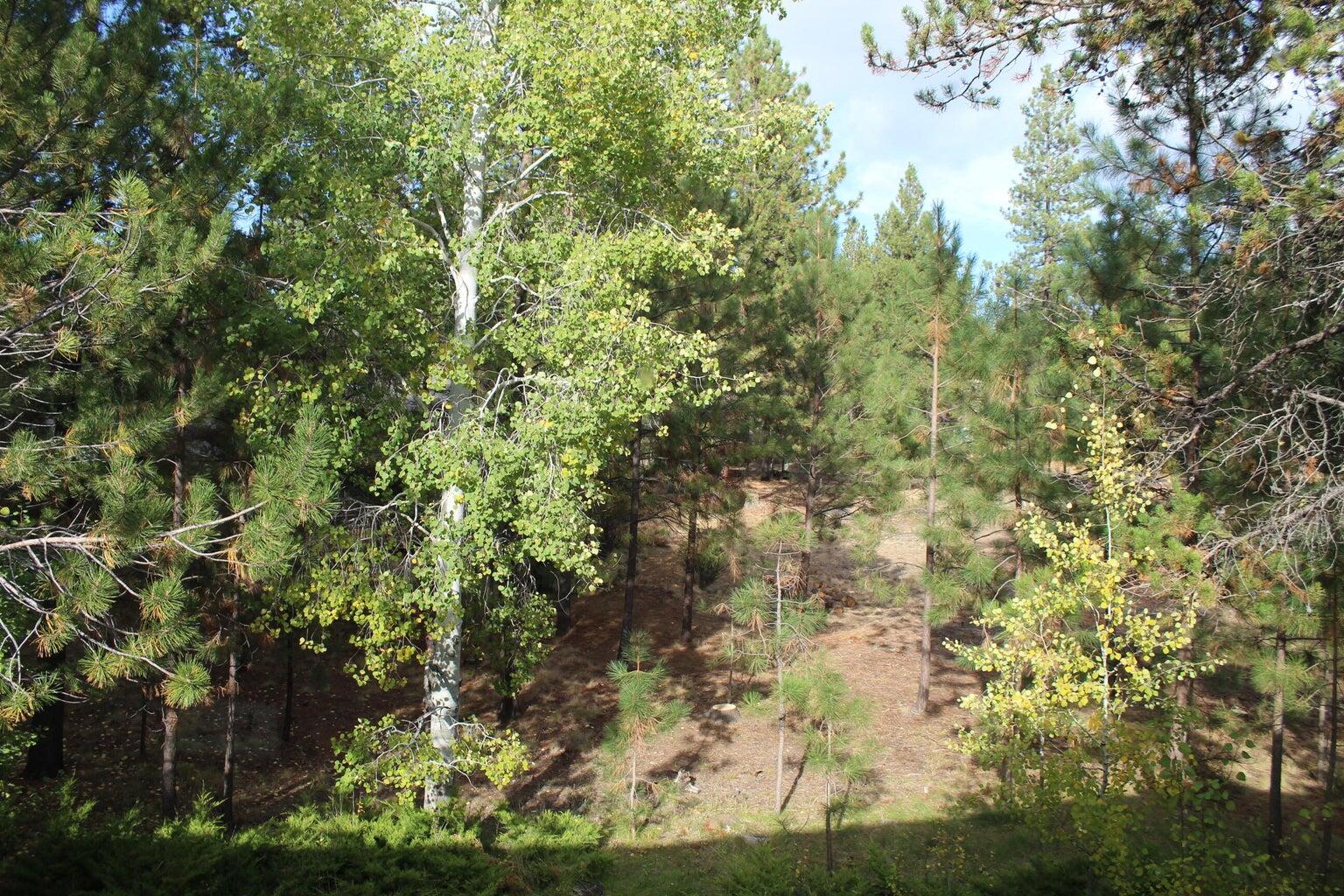 The Ridge - Residential