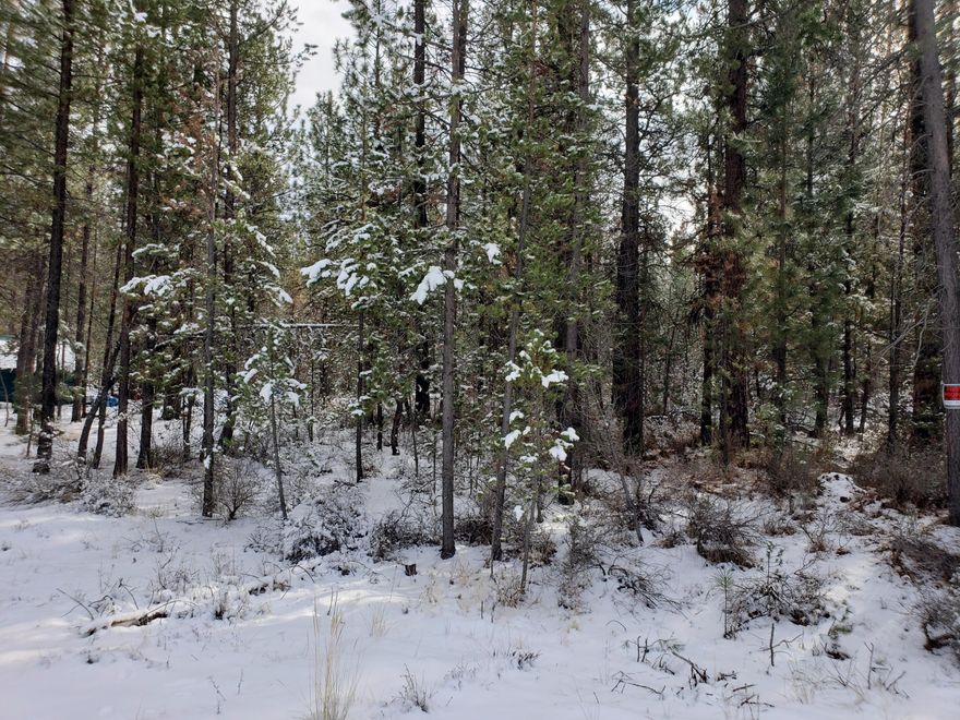 This lot is ready for the out door enthusiast to develop. Nicely treed 1 acre parcel located in Newberry Estates. Property is backed to the Deschutes National Forest! Truly a must see!