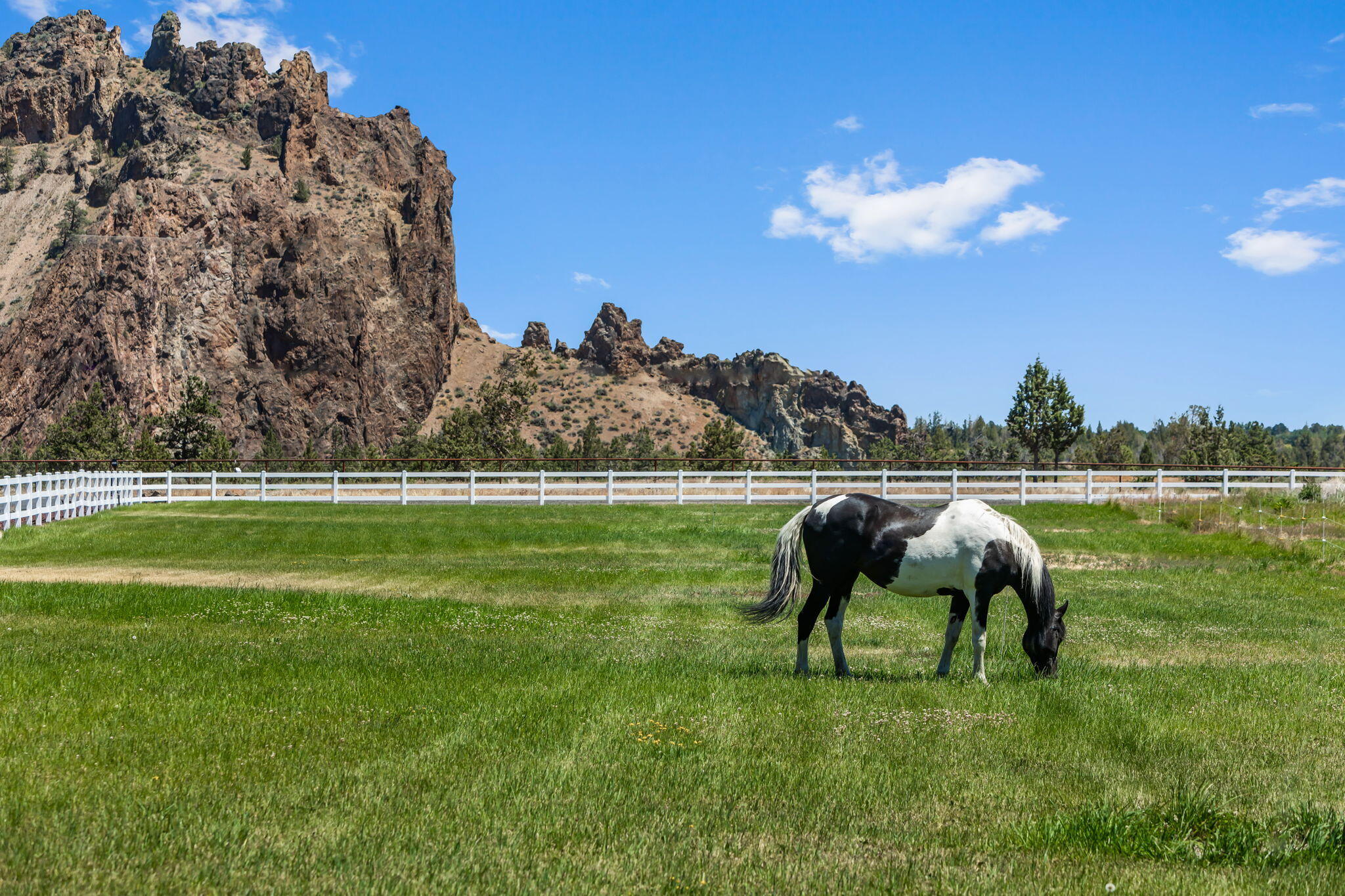 Harris Estate - Residential