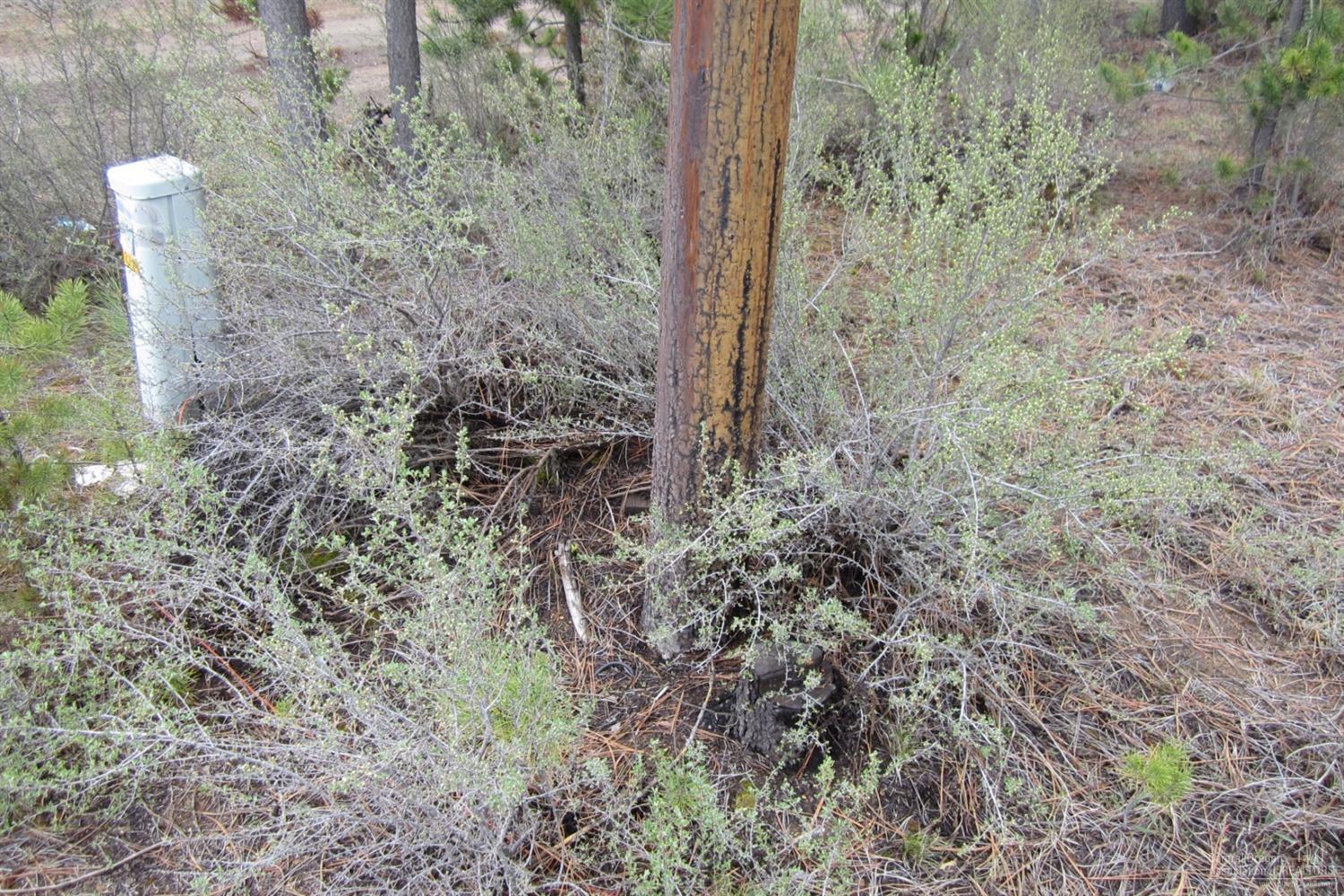 Newberry Estates - Land