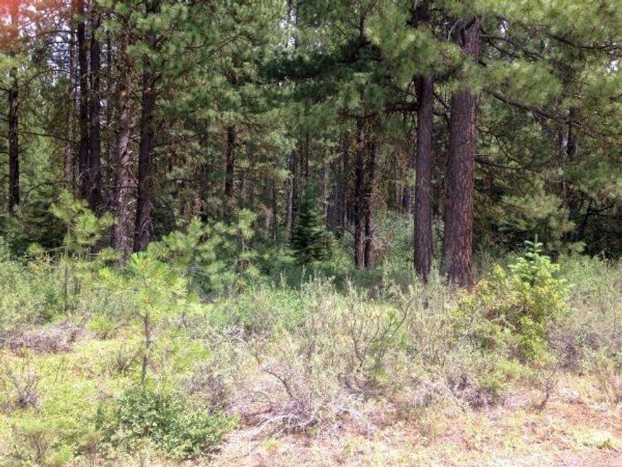 Beautiful 1 Acre Lot In The Mountain Lakes Homesites. This Treed Lot Is A Great Spot For Your Dream Home!