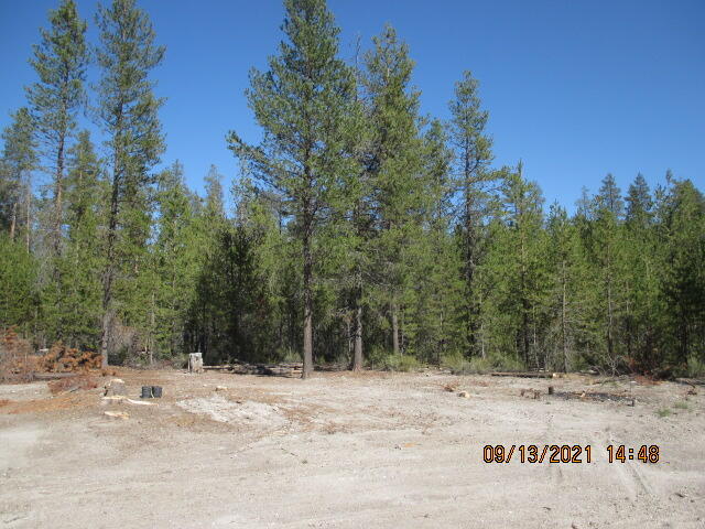 Mt. Scott Meadow - Land