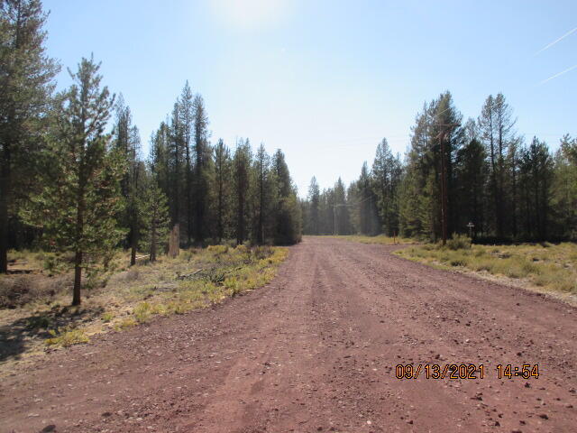 Mt. Scott Meadow - Land
