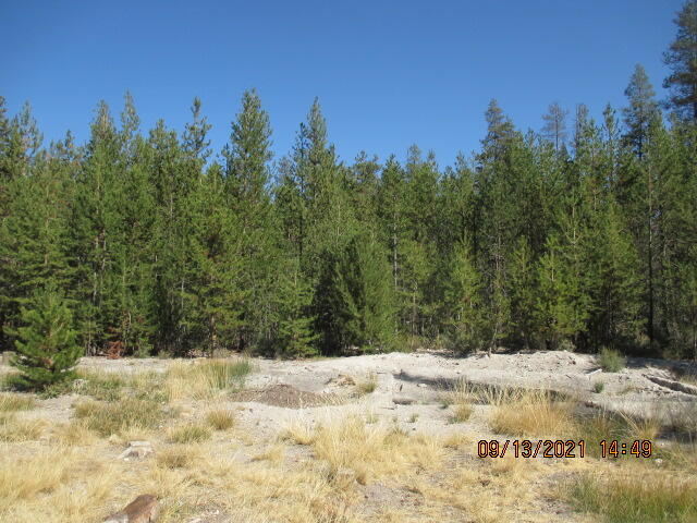 Mt. Scott Meadow - Land