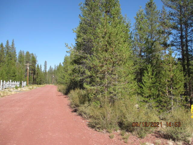 Mt. Scott Meadow - Land