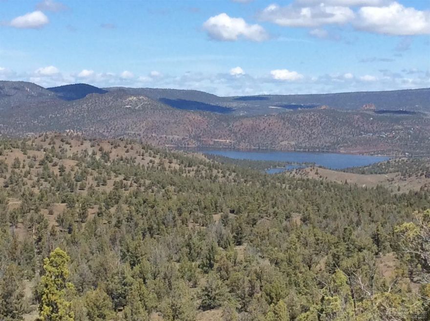 Peaceful serenity. Nearly 80 acres abutting Salt Creek Rd. Views from anywhere on the property.... Cascade Mtns, Prineville Reservoir and to the east and south. Within a couple miles of Robert Bay to launch your boat. Wildlife abound. Neighboring large parcels.