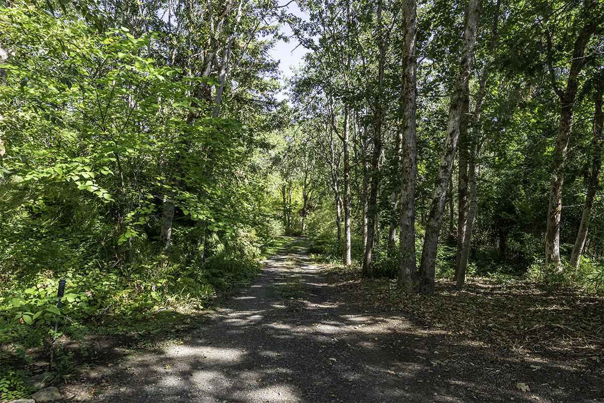 Whispering Pines Ranchos - Residential