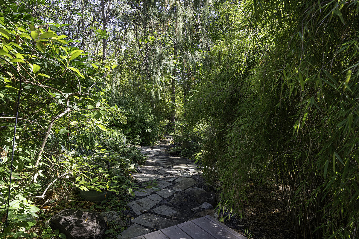 Whispering Pines Ranchos - Residential