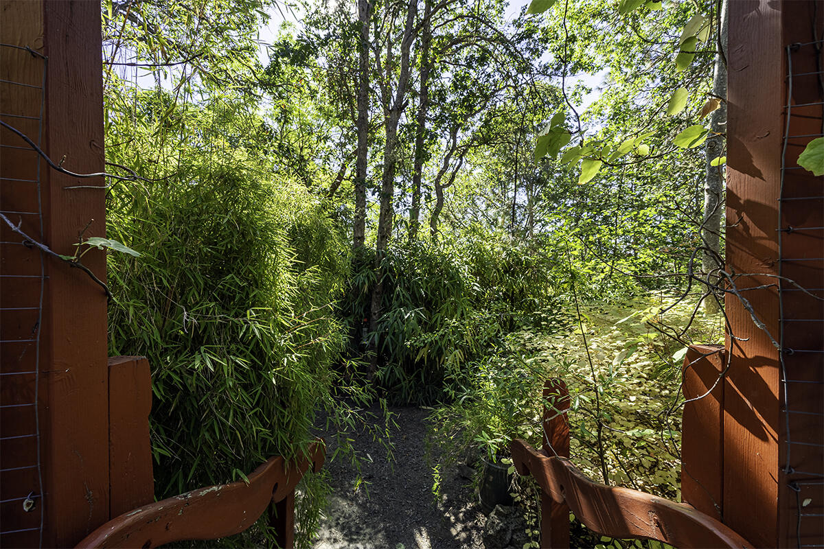 Whispering Pines Ranchos - Residential