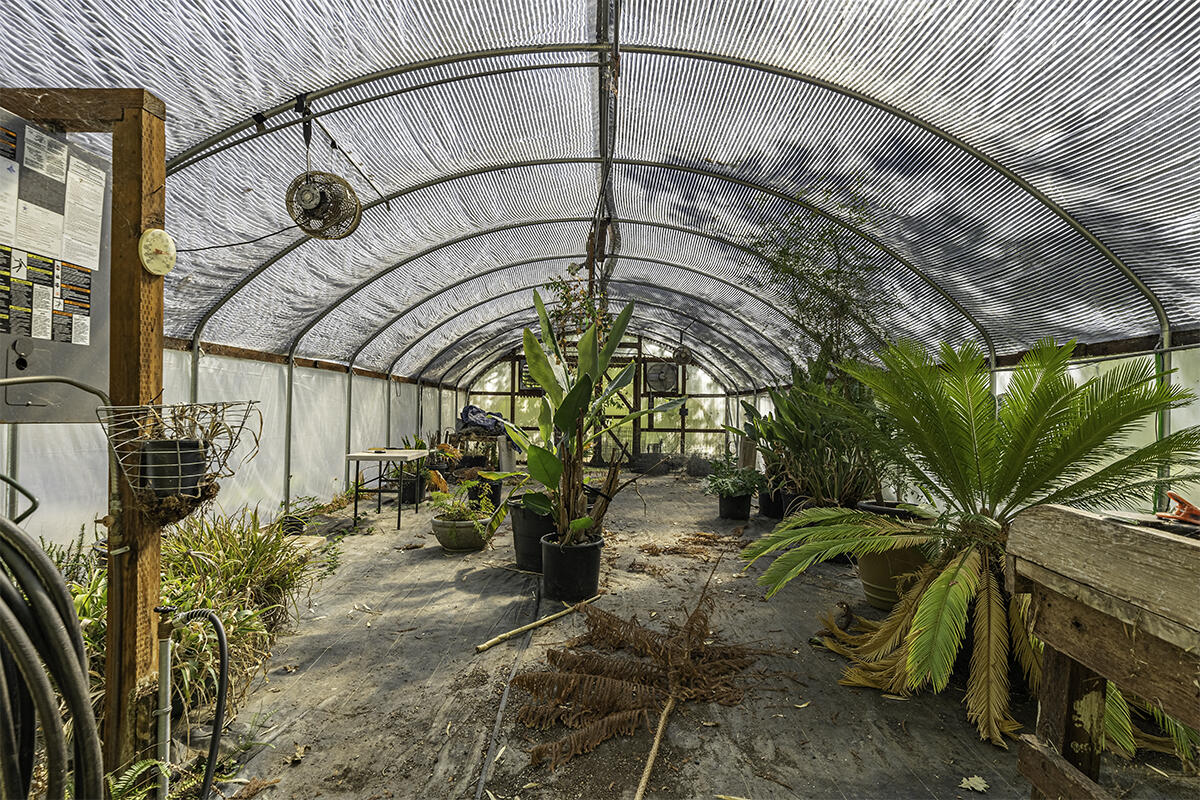 Whispering Pines Ranchos - Residential