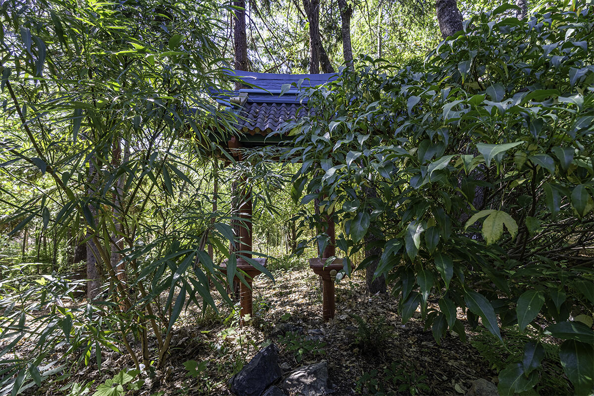 Whispering Pines Ranchos - Residential