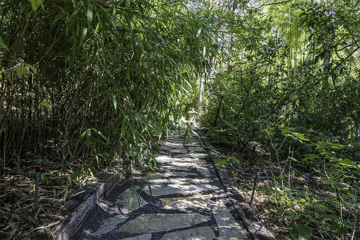 Whispering Pines Ranchos - Residential