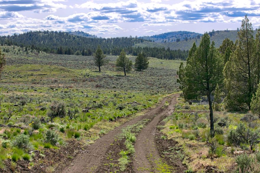 Stabb Brothers Ranch is an ideal summer pasture ranch. The Ranch is 12,236 contiguous deeded acres with 7496 acres leased BLM/State Grazing Allotments - 552 AUM's in the Central Oregon high desert. Improvements include: new corrals/sorting/loading chute, new engineered stock water system with new wells, stock tanks, windmills, 20+ miles of pipeline, storage tanks, perimeter fenced, cross fenced (11 pastures), juniper cuts and good land stewardship practices to improve the native rangeland. The ranch has a good cowboy camp near the corrals, an old homestead and Cascade Mountain Views. Property is located about 3 miles north of Brothers and an hour from Bend or Prineville OR.
