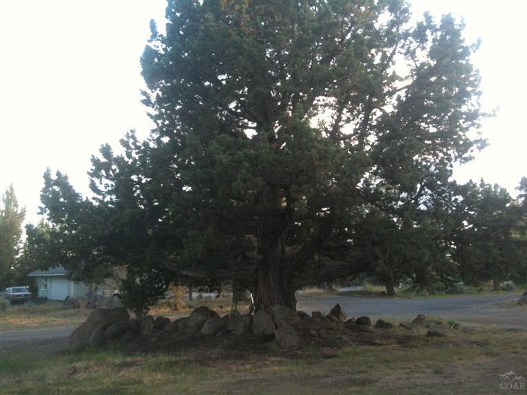 Whispering Pines - Residential