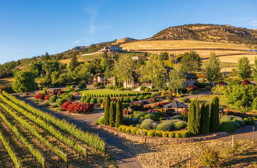 Welcome to Jaxon, an impressive estate home & vineyard. This property boasts a combination of an estate quality home, stunning vineyard & lavish outdoor entertaining spaces w/ impressive landscaping & picturesque views. The vineyard is well established & has a rich history of winemaking success. The split floor plan w/ open concept living space provides great flow w/ high ceilings & incredible views. A chef's kitchen, master suite w/ large bathroom & walk-in closet, office, guest suite w/ wet bar & private patio & more. High-end details throughout. The property has a great capacity for entertaining w/ lush lawns & landscaped lined paths connecting the many outdoor seating & entertaining areas. Gated entry, shop w/ a 1/2 bath & attached carport & an equipment building. The property has 12.7 irrigated acres from TID. With an inviting home, impressive landscaping, agricultural capabilities, & outdoor entertaining, Jaxon provides an amazing opportunity for the discerning buyer.