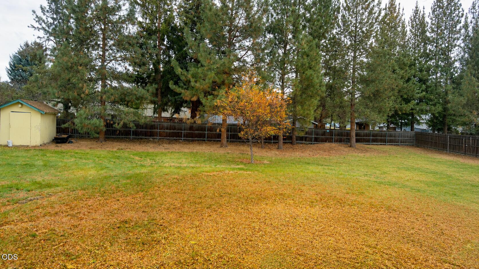 21023 Thomas Drive