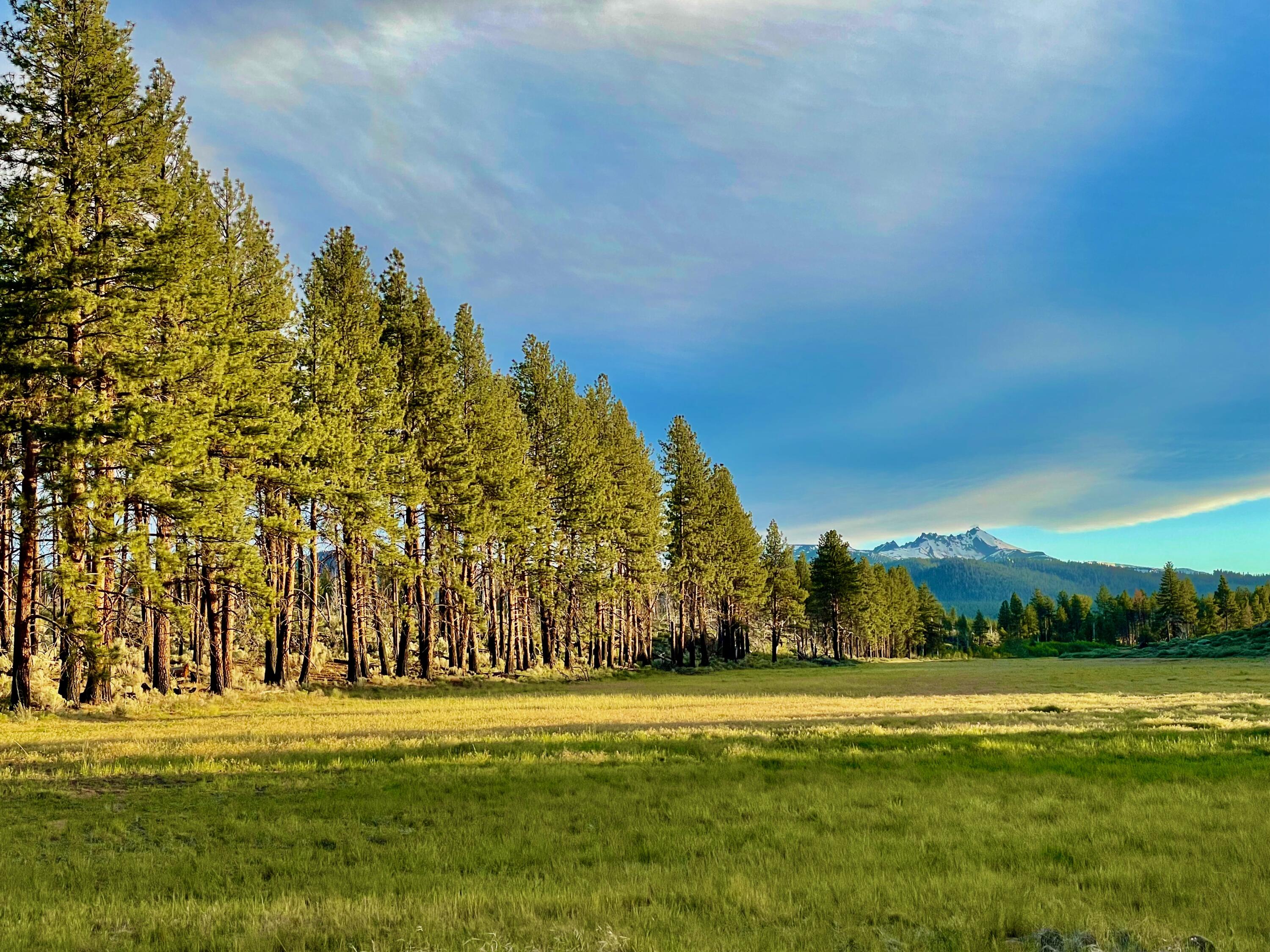 67500 Three Creeks Road