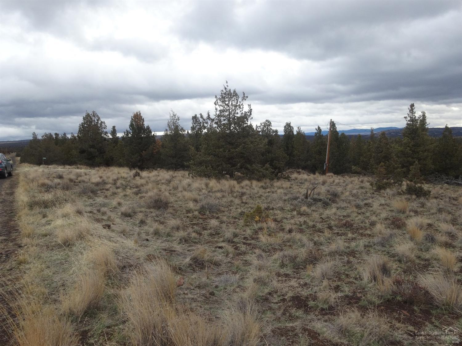 Ochoco Land + Livest - Land