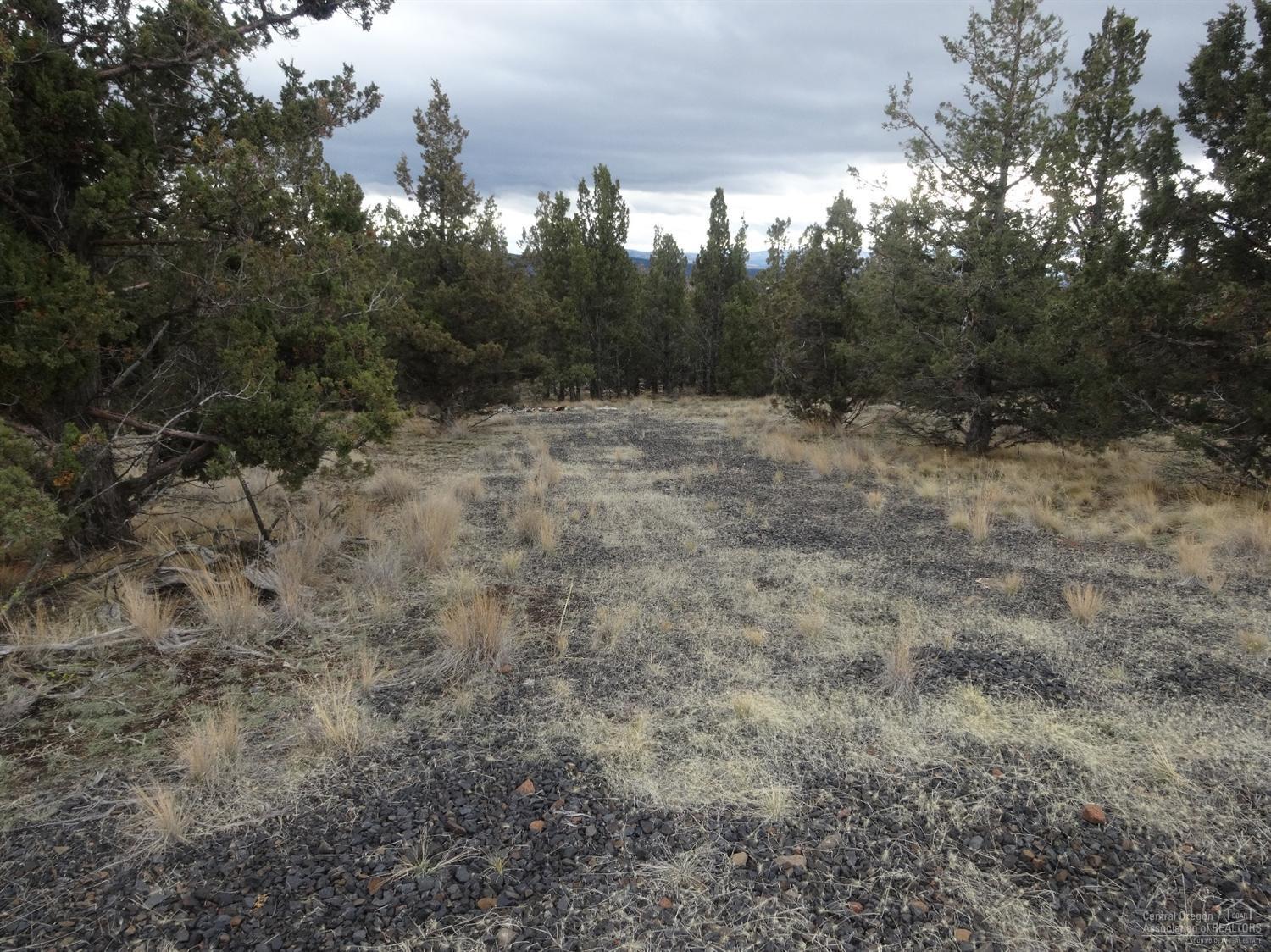 Ochoco Land + Livest - Land