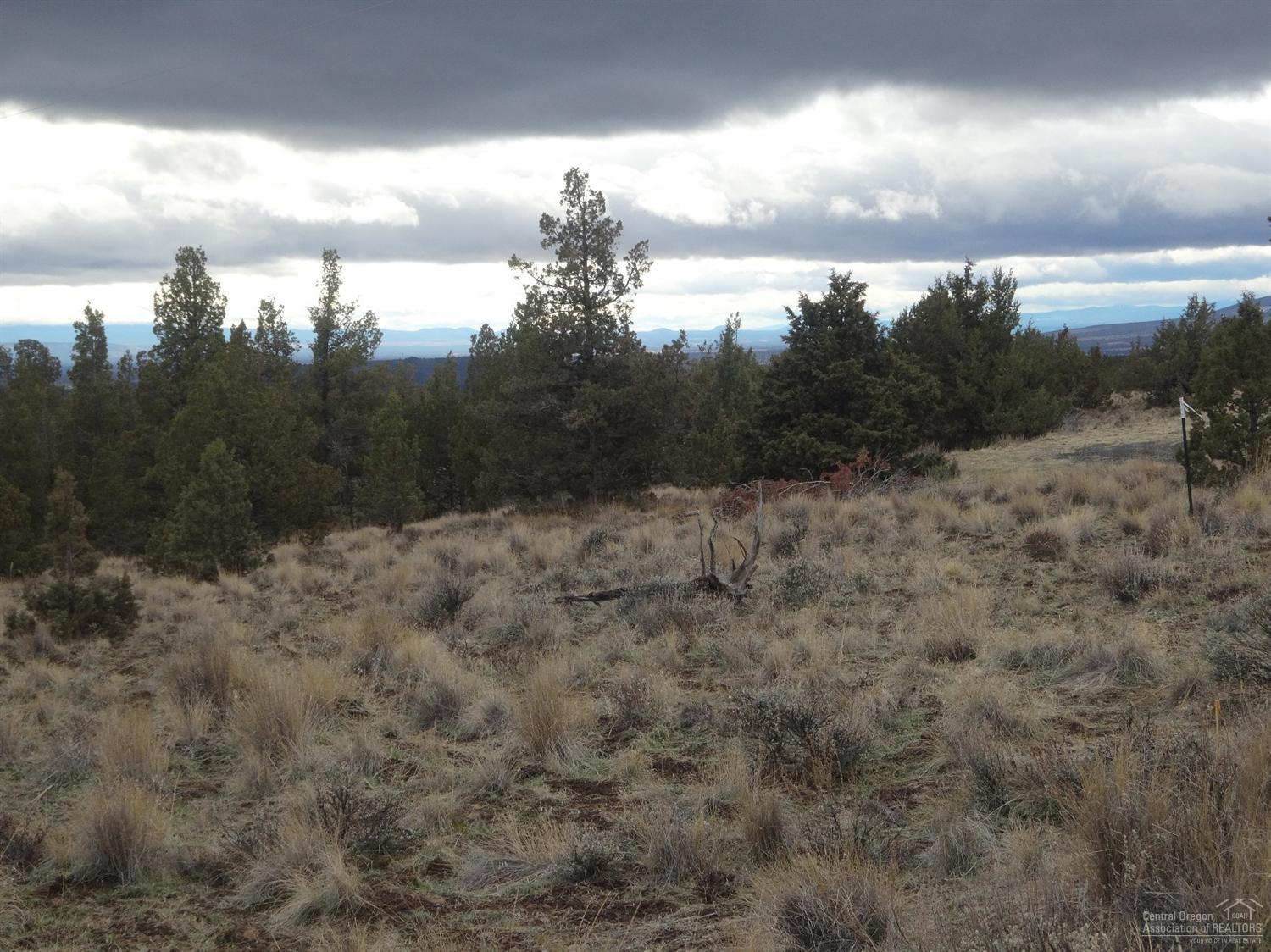 Ochoco Land + Livest - Land