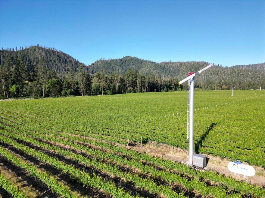 Established 67 vine acres comprised of Pinot Gris (57.7ac) & Chardonnay (10ac) located in the heart of the Applegate Valley Wine Trail! Half a mile of Applegate River frontage with 79 acres primary Applegate River water rights with senior priority date of 1912. This vineyard boasts a combination of excellent soil, topography, and superior farming techniques with strong production. The pump, pipelines & infrastructure support a full rate of water delivery. 6 wind machines offer frost protection and the perimeter is fully fenced. Centrally located off N. Applegate Rd near the town of Applegate and neighboring wineries. Build your estate home or Commercial Tasting Room! 118 deeded acres with approx. 11 acres located SE of N. Applegate Rd with potential for future homesite or tasting room. Buyer to investigate land usage and development potential. All information provided is deemed reliable but is not guaranteed and should be independently verified.