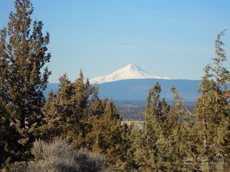 Lower Bridge Estate - Land
