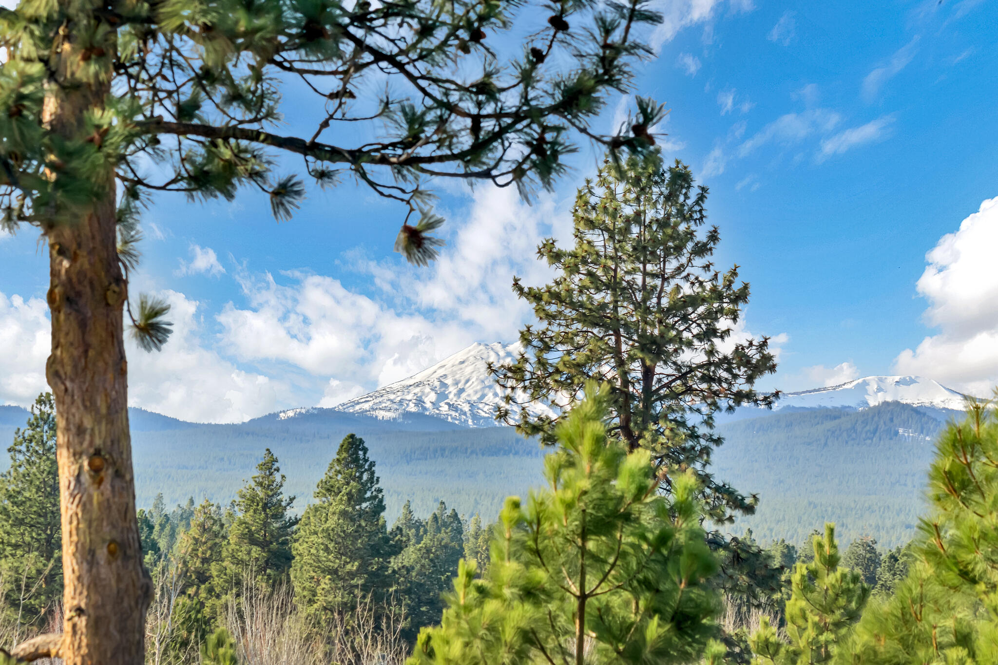 Skyliner Summit - Residential