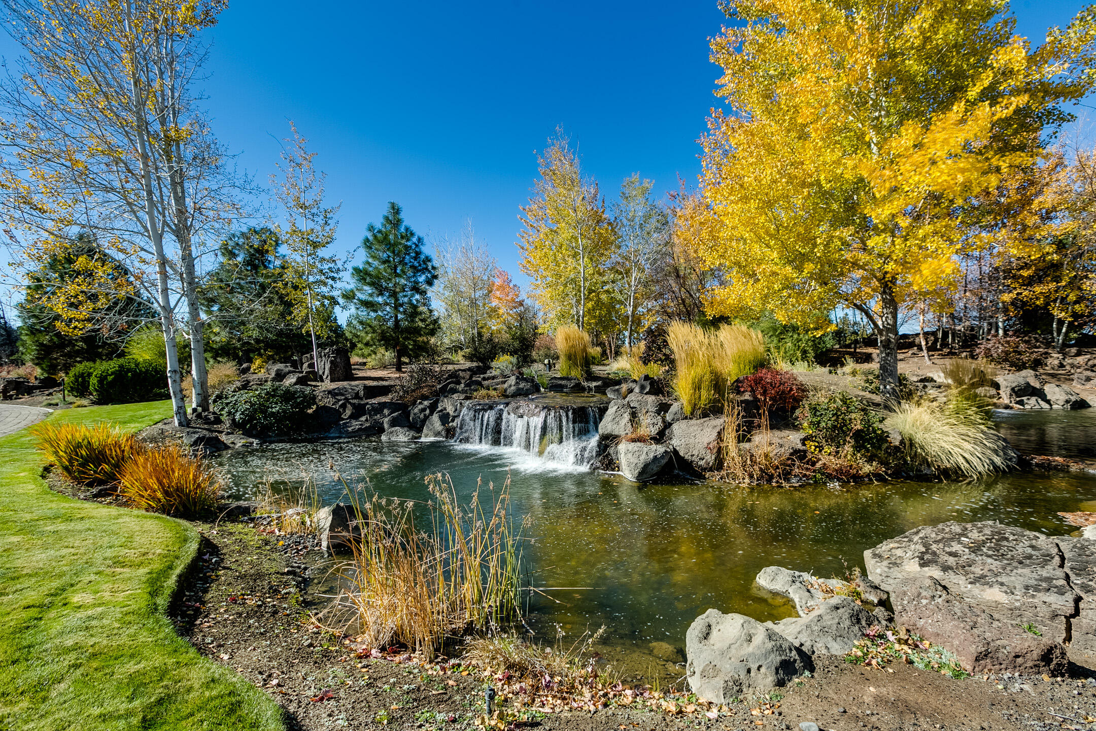 Pronghorn - Residential