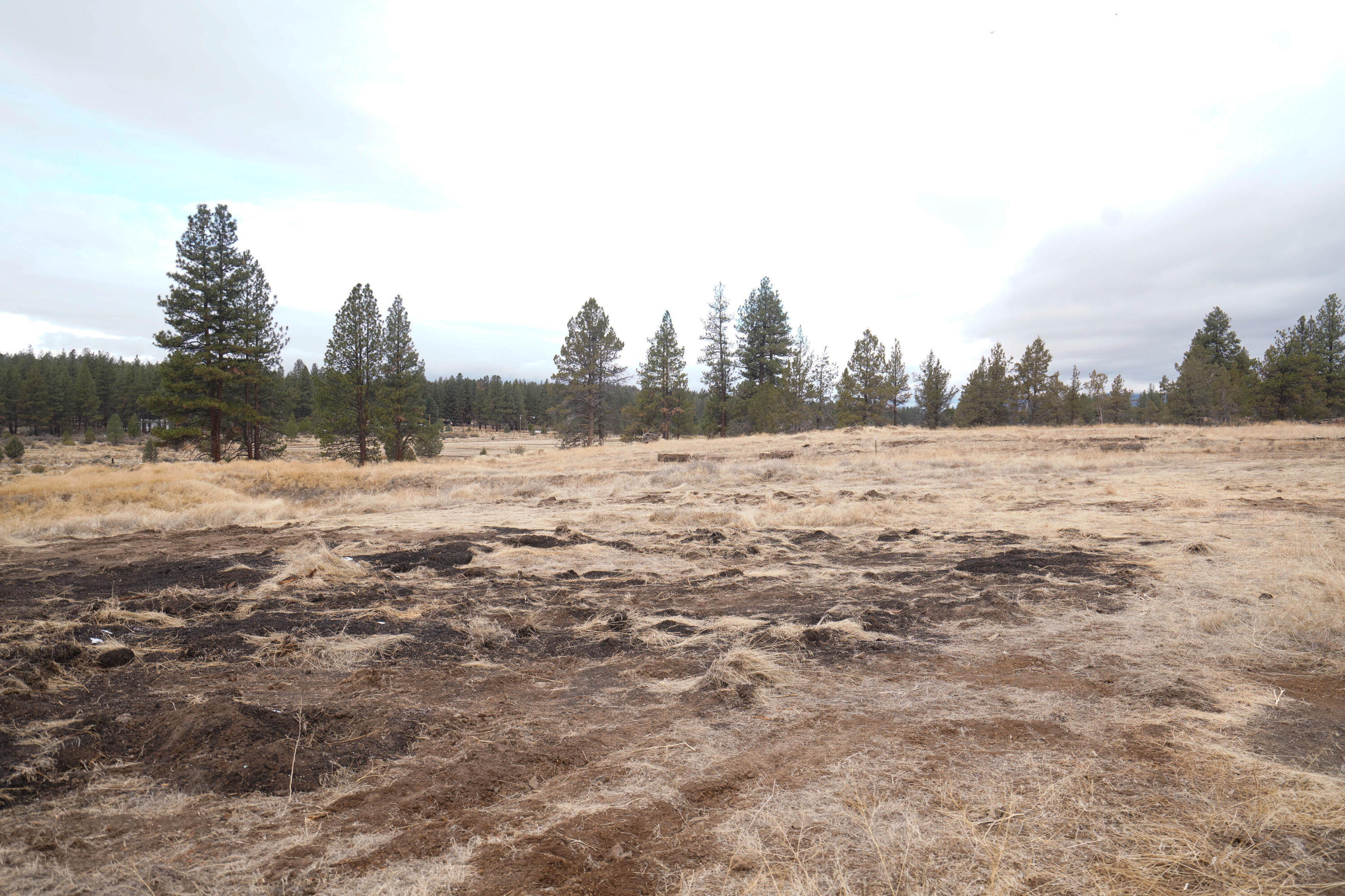 Klamath Falls Forest Estates -Hwy 66 Unit -Plat No. 1 - Residential