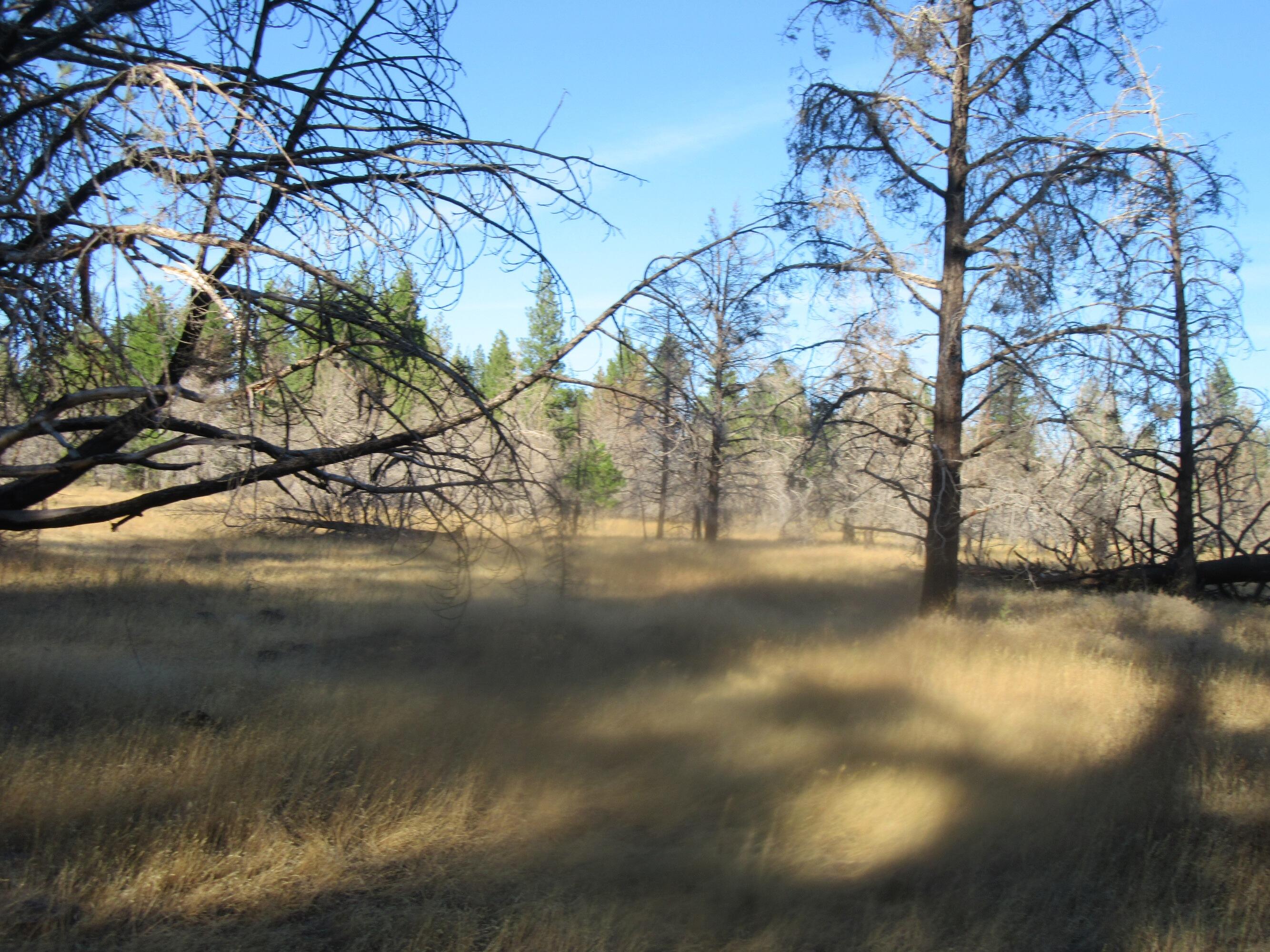 High Country Ranch - Residential