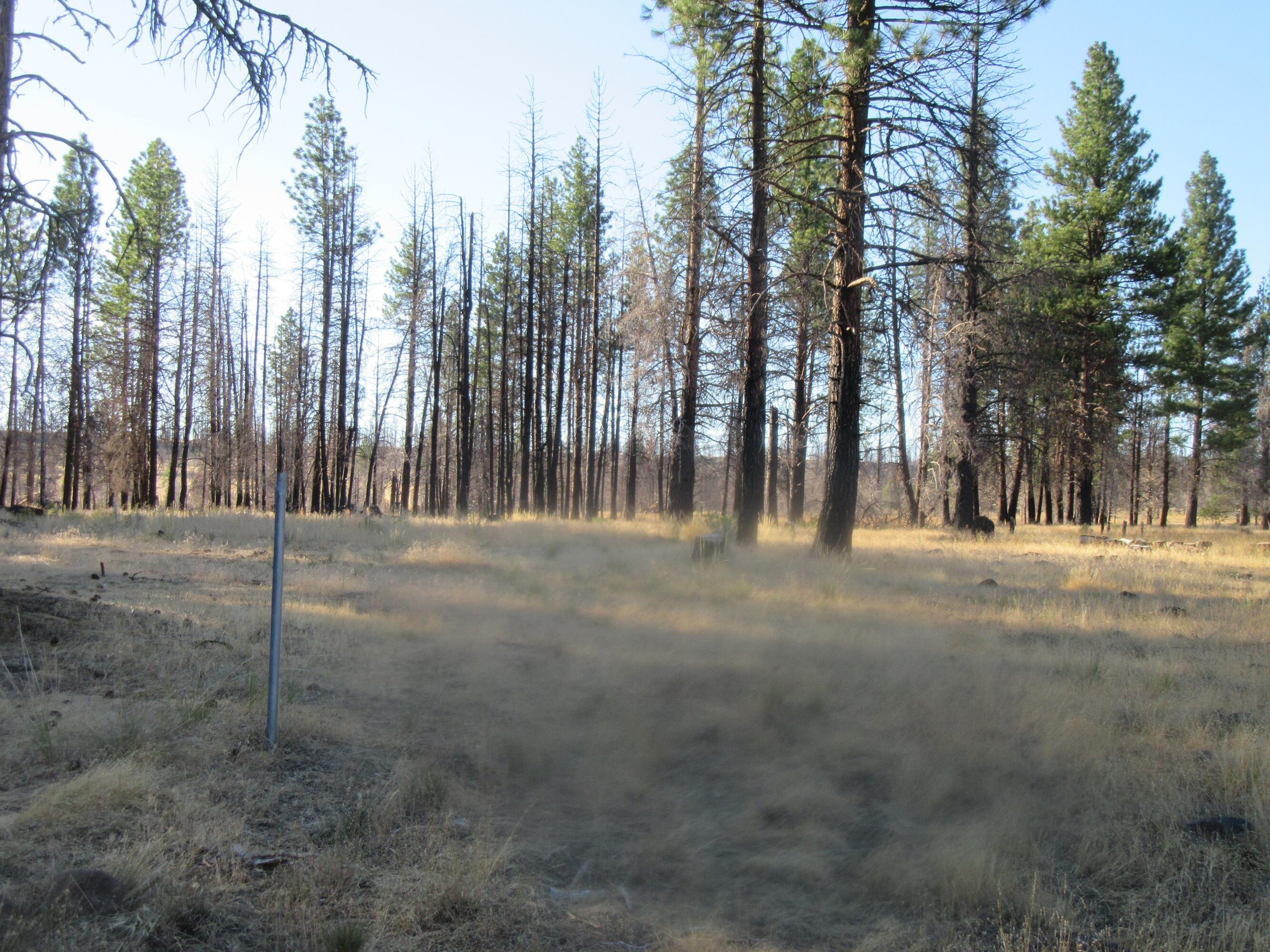 High Country Ranch - Residential