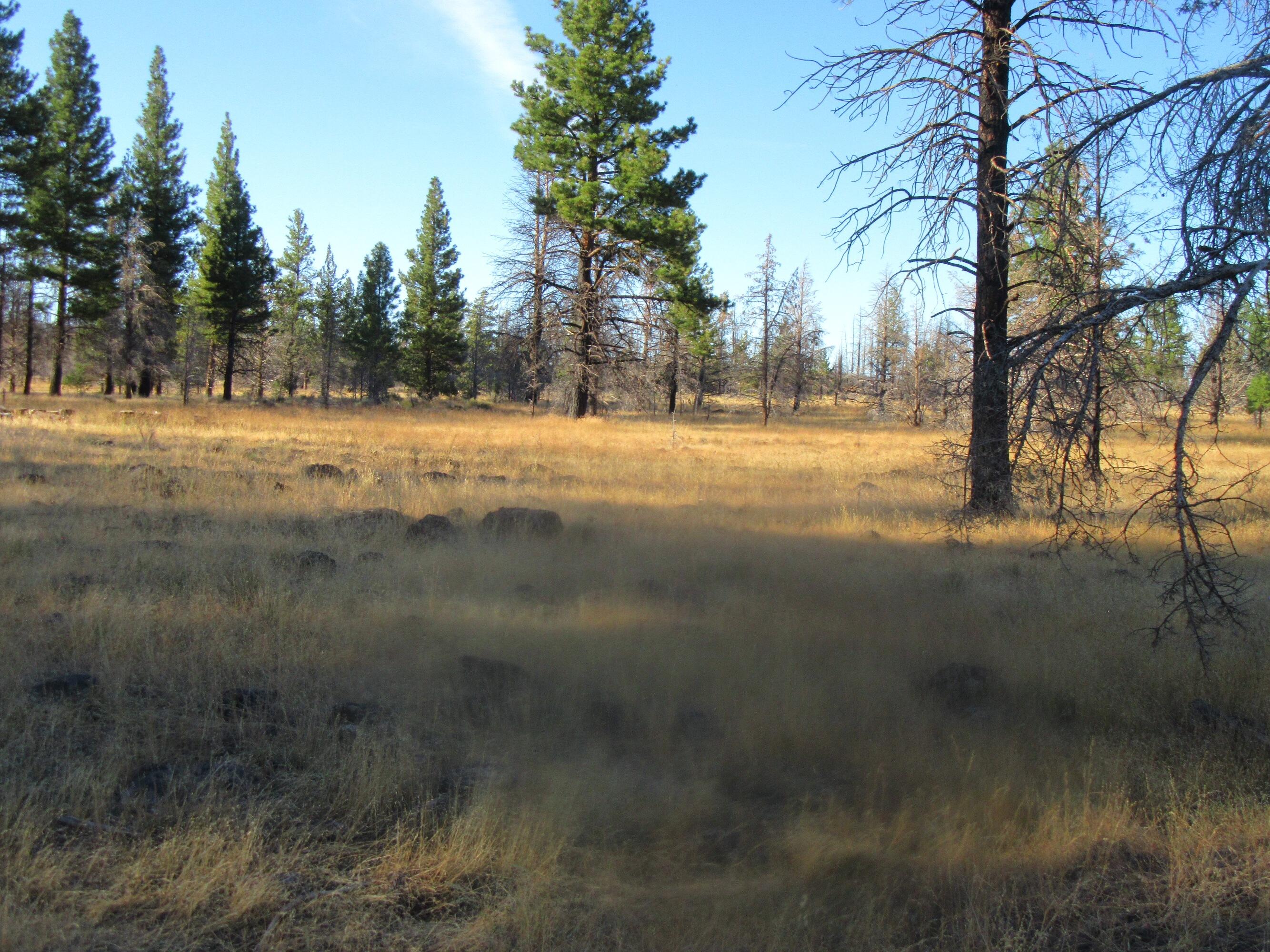 High Country Ranch - Residential